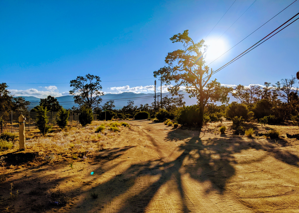 Desert